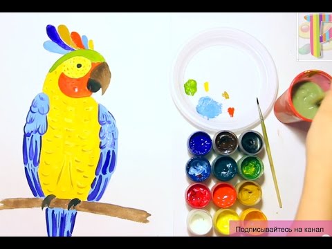 How To Draw A Parrot: Как нарисовать попугая:Урок рисования:drawing lesson