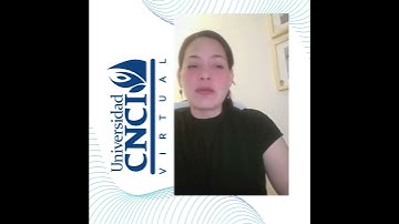 Proyecto Integrador Universidad CNCI Virtual Agosto 2025
