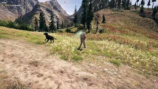 Far Cry 5 - Dog Vs Angel
