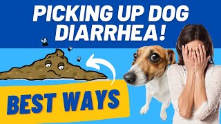Picking Up Dog Diarrhea: At park, home, cement, grass