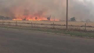 Celebrity Wildfires burn more than 14,000 acres near Canyon, Texas Net Worth