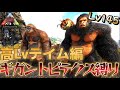 【ゴリラに肩乗せ】やっと見つけた!過酷な環境下で高レベルのギガントピテクスをテイムしてウホッ!ウホ!(高Lvテイム編)【アイランド】【独立ARK】【Ark: Survival Evolved】#9