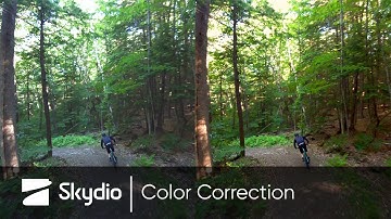 Skydio Tips and Tricks: Episode 1, Color Correction