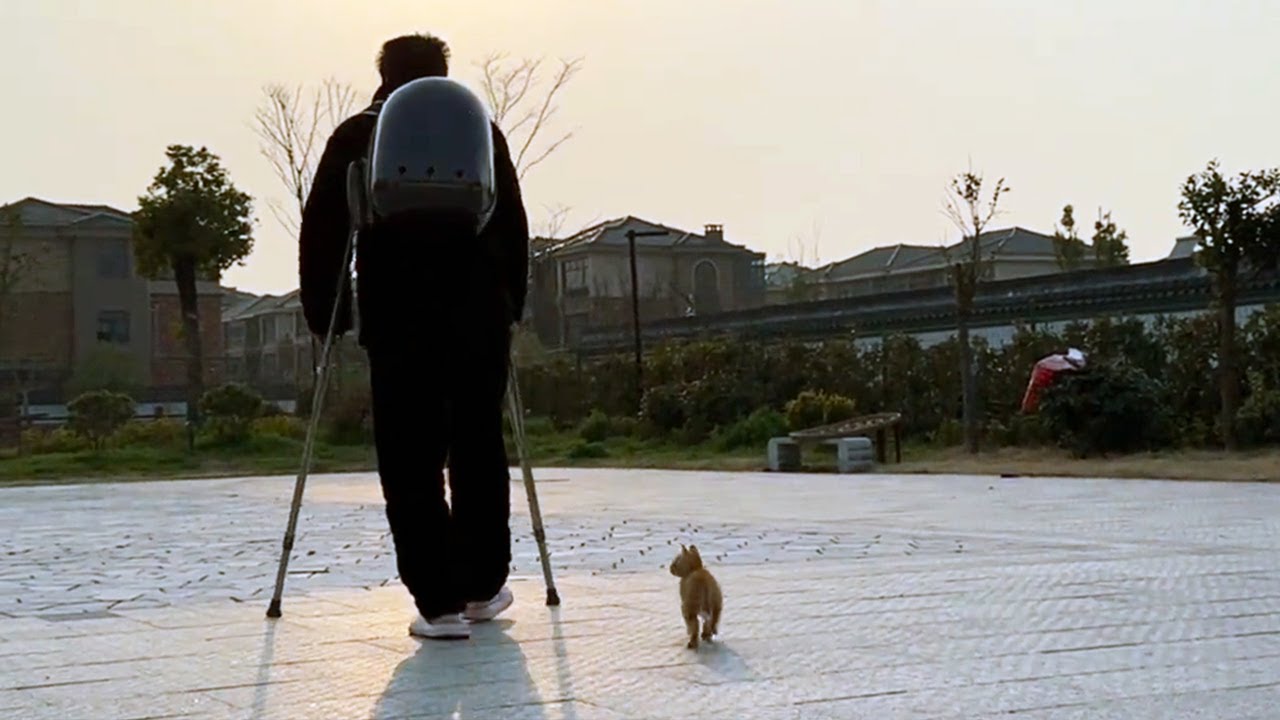 Found a kitten for my husband with his broken leg! - YouTube