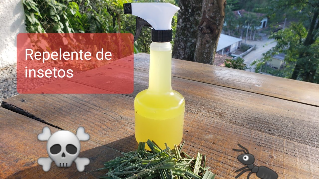 Repelente ecológico de citronela com cravo da Índia - YouTube