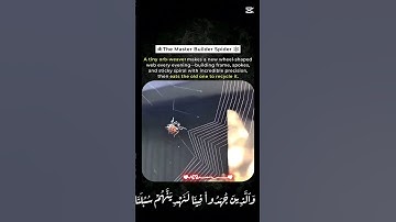 كروما شاشه سوداء قرآن كريم , تلاوة من سورة العنكبوت , القارئ عبد الرحمن المسعد #عبدالرحمن_مسعد
