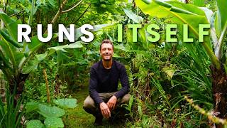 How I Start a Food Forest That Basically Runs Itself