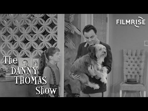 The Danny Thomas Show - Season 10, Episode 16 - Jose the Dog Sitter - Full Episode
