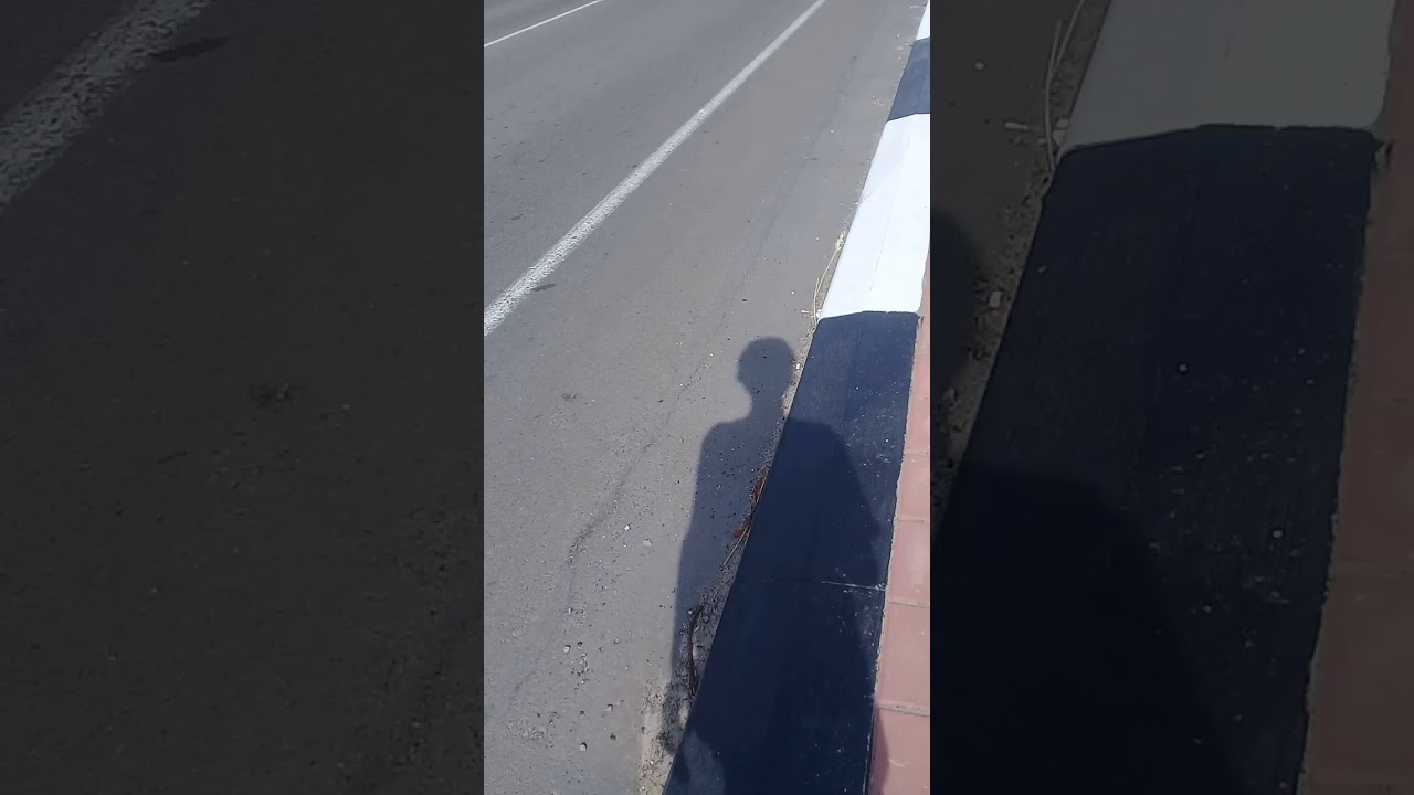 ДТП Велика Димерка