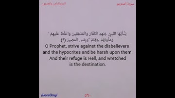 سورة التحريم كاملة ٤/٥