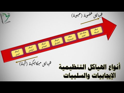 فيديو: ما هي الهياكل طويلة المدى؟