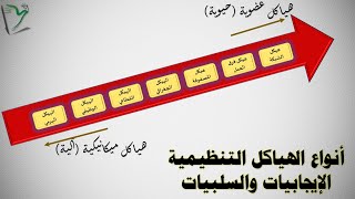 EMS-06| مهارات بناء الهيكل التنظيمي | أنواع الهياكل التنظيمية  | الإدارة المتميزة