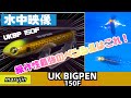 水中映像】UKビッグペン150Fは初心者が最初に使うべきビッグペンシル