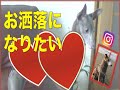 【イタグレ】お洒落になりたいリタ