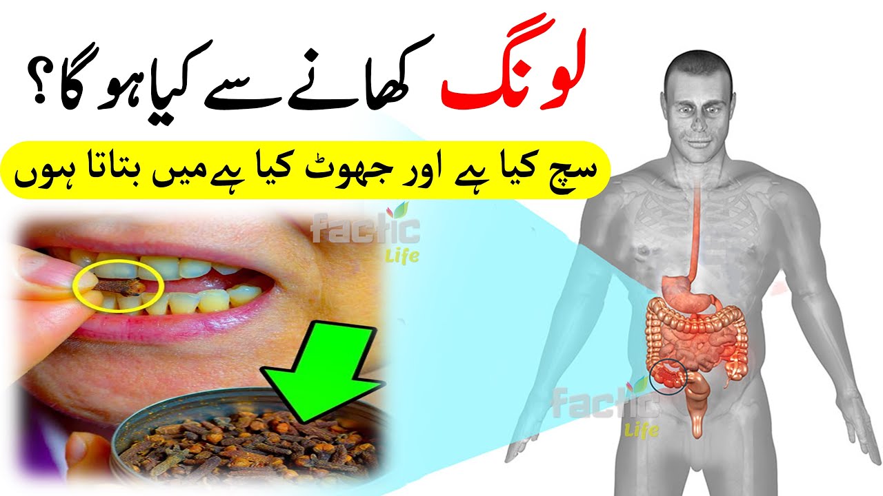 Subah Khali Pet Long Khane Se Kya Hota Hai Long Ke Fayde YouTube