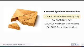 Celebrity CALPADS System Documentation - Module-B - CFS (CALPADS File Specification) Net Worth