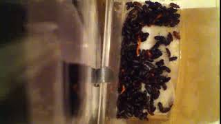 IMG 8650 3