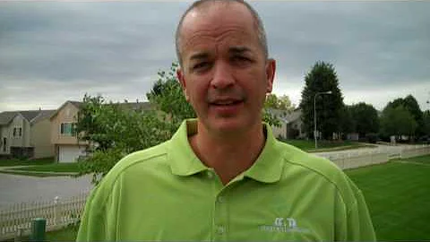 Terry Williams - Top 4 Questions You Should Ask Yourself if You are Considering a Divorce