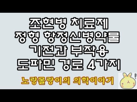 정형 항정신병약물(typical antipsychotics) 기전과 부작용: Dopaminergic pathway(도파민 경로)