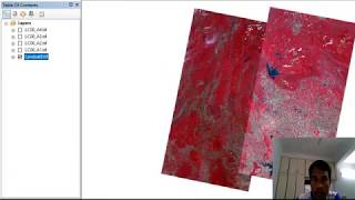 Mosaic image in ArcGIS 10.1