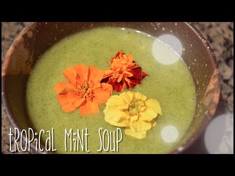 Tropical Mint Soup : Vegan Recipe : Cold Appetizer : Gluten Free Recipe : Seonkyoung Longest