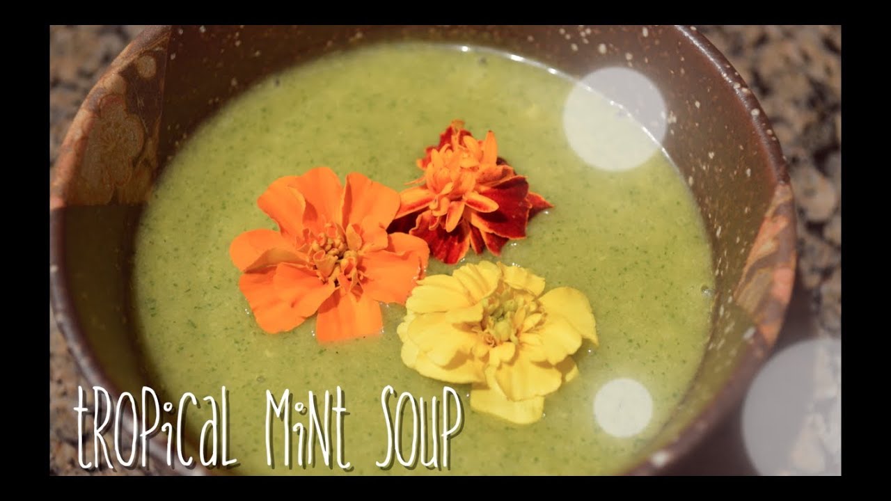 Tropical Mint Soup : Vegan Recipe : Cold Appetizer : Gluten Free Recipe : Seonkyoung Longest