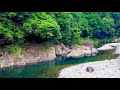 【秘境】誰もいない河原で自由に過ごす野営が最高すぎた
