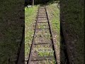 This neighborhood once had a miniature trolley. Only the tracks remain