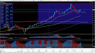 Famous PIP TRIGGER - Trading System Net Worth
