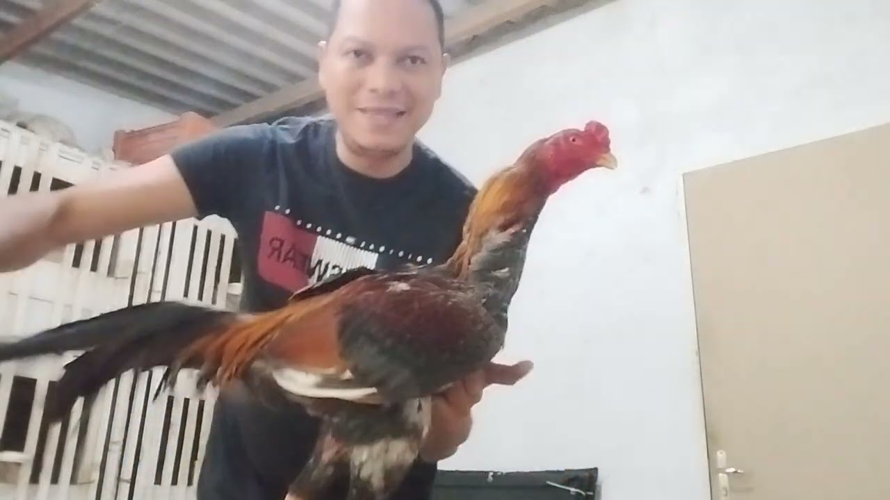 Uma das Melhores VITAMINA que já usei