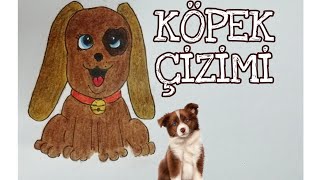 KÖPEK ÇİZİMİ