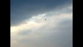 Mcpx BL Hovering Flight Mode 1