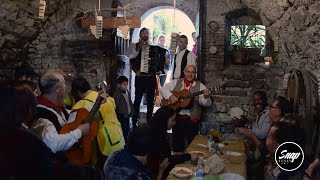 Festa Di San Martino - Comune Di Formello