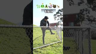 How Animals Get Over a Fence (With Emojis) 🤣🤣🤣 . They got over but at what cost #funny #animals