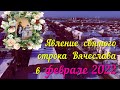 Явление святого отрока Вячеслава в феврале 2022 года