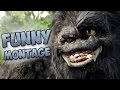 Monkey MEMES! - King Kong Funny Montage