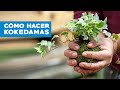 ¿CoÌmo hacer kokedamas?