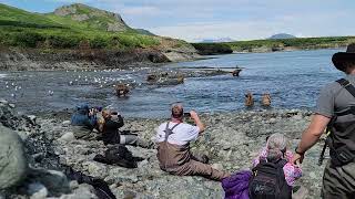 Unbelievable Footage From World Renown Grizzly Safari by Grizzly Alaska 603 views 1 year ago 15 minutes