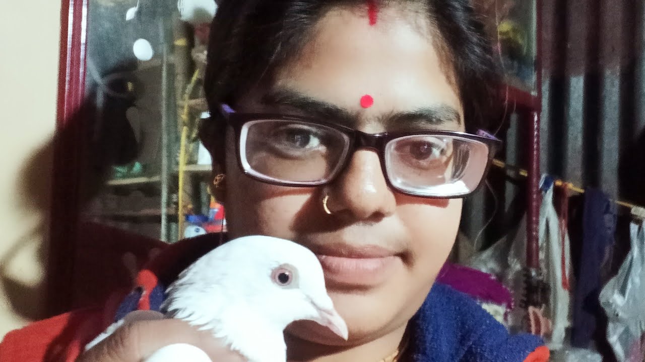 সবাই চলে এসো মিষ্টি বন্ধুরা একটু গল্প করি 🌹🌹🌹🌹🌹🌹