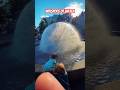 Fountain moments #shorts