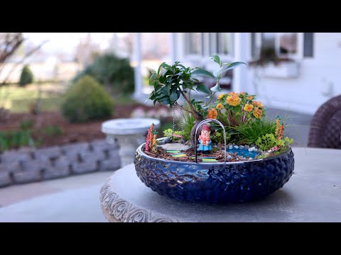 Video: Een miniatuurtuin in huis kweken