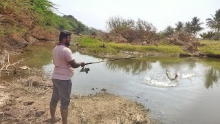  Snakehead Fishing On Spinner Lure || Fish Hunting soal machhli || maral machhli ka shikar