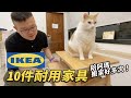 【IKEA十件耐用家具！陪阿瑪搬家好多次！】志銘與狸貓