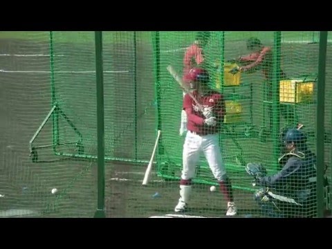 楽天 即戦力ルーキー 茂木栄五郎 早大出身 フリーバッティング 2016 対 オリックス 練習試合