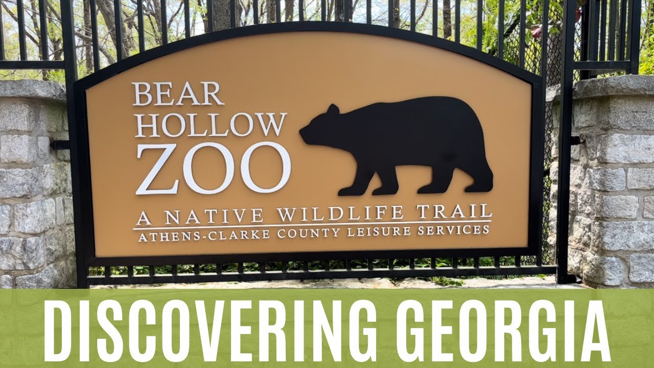 Bear Hollow Zoo Discovering YouTube