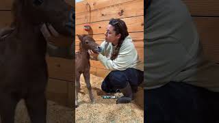 You’re telling me you would tell him NO!!🧐
