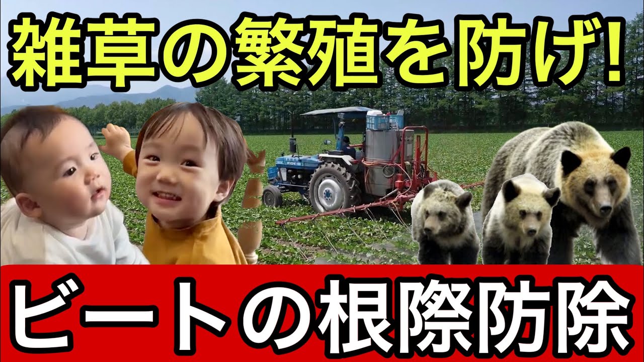 LEMKEN ツナギ 3181-8700-5.jpg