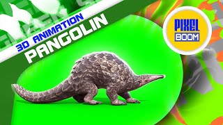 Green Screen Pangolin 3D Animation - PixelBoom