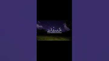 وَأَوۡحَیۡنَاۤ إِلَىٰۤ أُمِّ مُوسَىٰۤ أَنۡ أَرۡضِعِیهِۖ | سورة القصص | الشيخ ياسر الدوسري