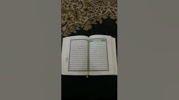 ذكرُ رحمتِ ربِك عبدهُ زكريا سورة مريم #القارئ_شريف_مصطفى #shortvideo